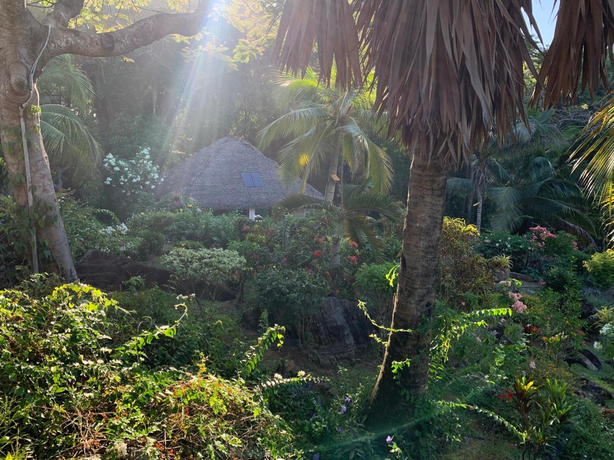 Les Jardins D'Ankify Bed and Breakfast Andimaka Eksteriør billede