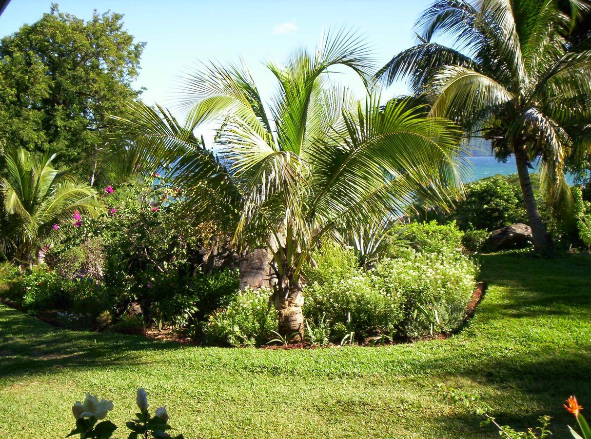 Les Jardins D'Ankify Bed and Breakfast Andimaka Eksteriør billede